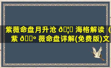 紫薇命盘月升沧 🦅 海格解读（紫 🐺 薇命盘详解(免费版)文墨天机）